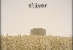 The Moon Sliver