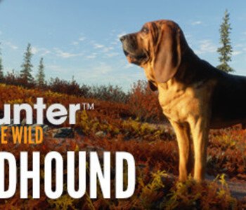 theHunter: Call of the Wild - Bloodhound