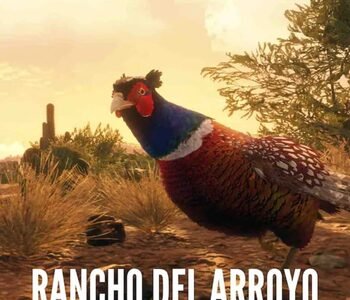 theHunter: Call of the Wild - Rancho del Arroyo Xbox One