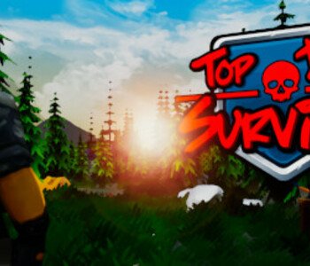 Top Down Survivor