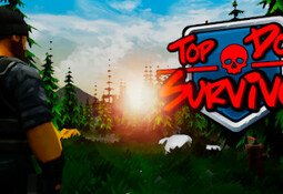 Top Down Survivor