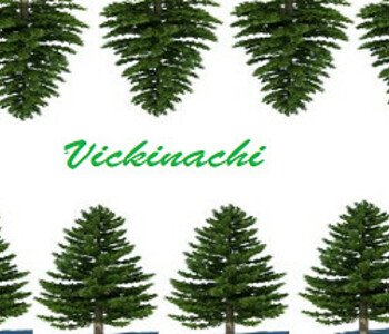 Vickinachi