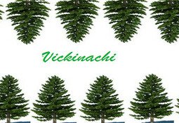 Vickinachi