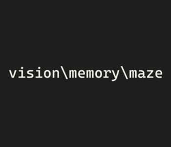 vision\memory\maze