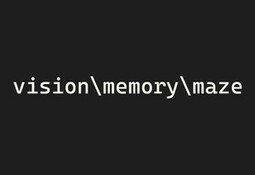 vision\memory\maze