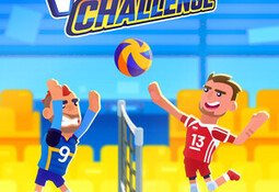 Volleyball Challenge