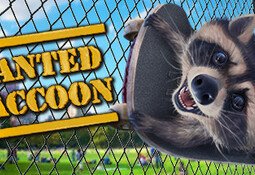 Wanted Raccoon