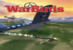 WarBirds - World War II Combat Aviation