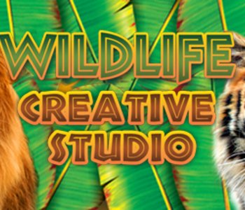 Wildlife Creative Studio