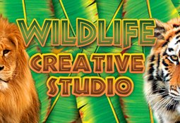 Wildlife Creative Studio