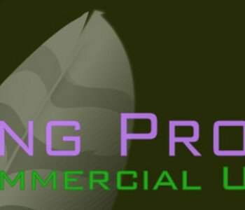 Wing Pro 7 - Commercial Use Upgrade