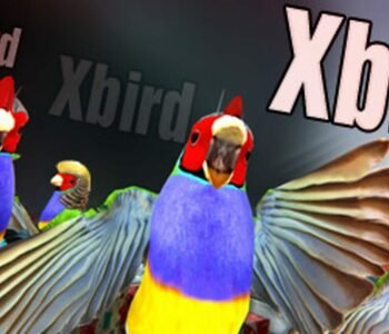 Xbird