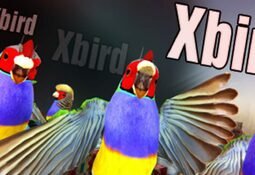 Xbird