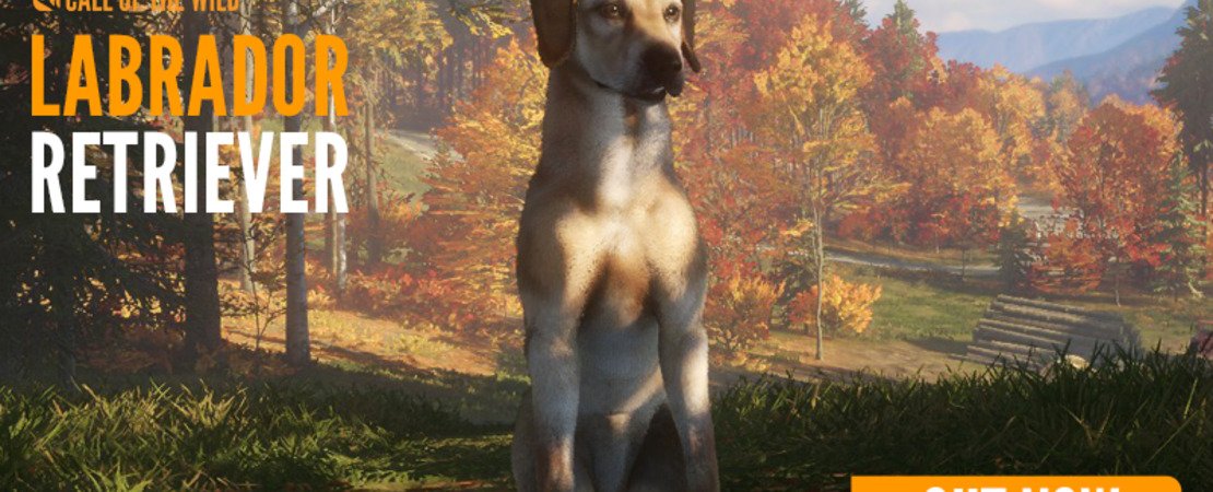 The Hunter Call Of The Wild: Die aufregende neue Welt des DLCs im Überblick