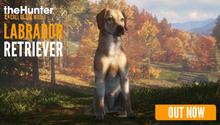 The Hunter Call Of The Wild: Een spannende nieuwe wereld van de DLC in vogelvlucht