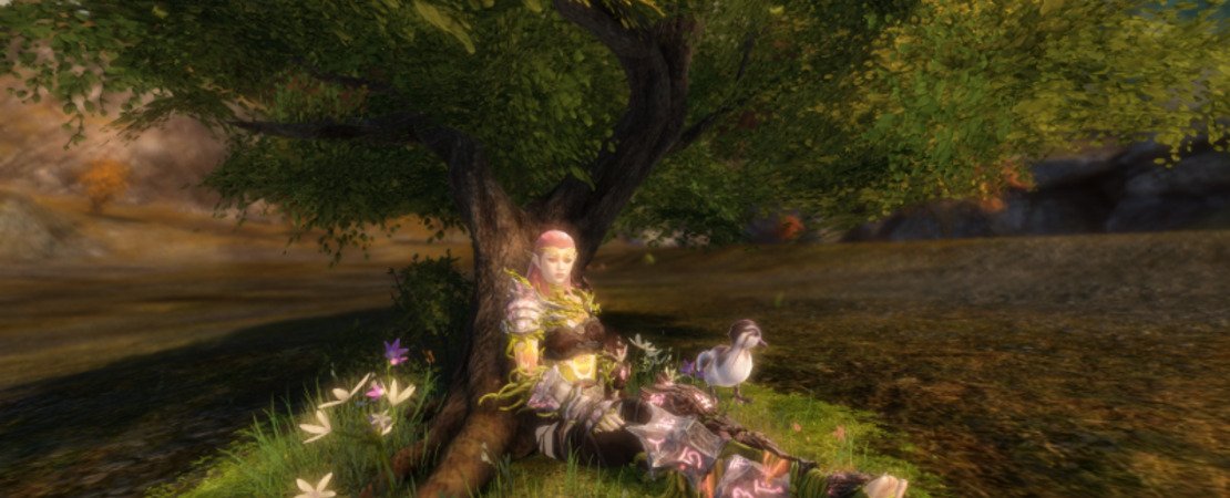 Guild Wars 2: Tranquil Forest Chair Skin & 20% Discount on Weapon Skins - New offers in the Gem Store and seasonal updates