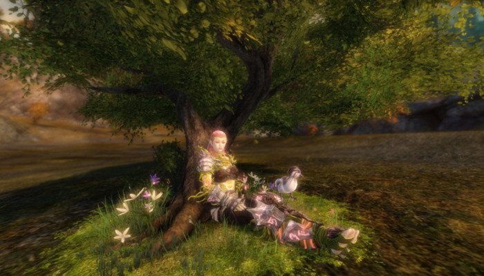 Guild Wars 2: Ruhiger Wald-Stuhl-Skin & 20% Rabatt auf Waffenskins: Neue Angebote im Edelsteinshop und saisonale Aktualisierungen