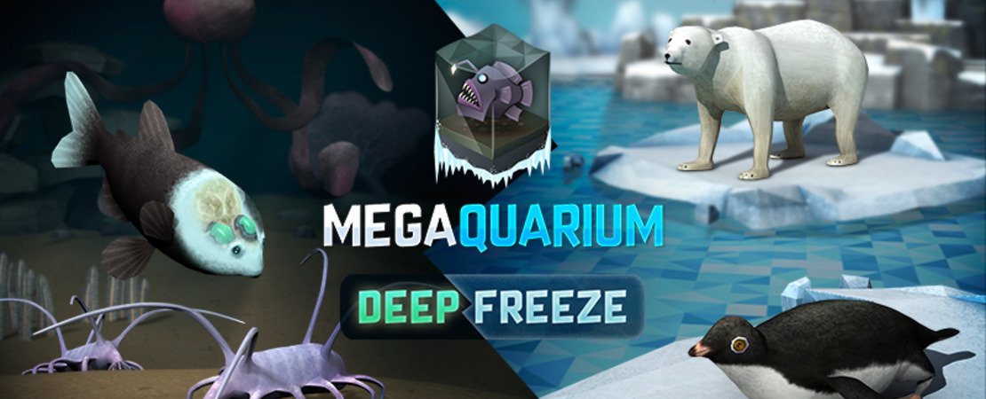 Megaquarium - Ein Tauchgang in die faszinierende Welt der Aquarien