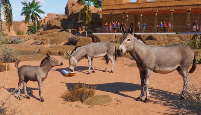 Planet Zoo: Update 1.14.1: Alle veranderingen en nieuwigheden in één oogopslag