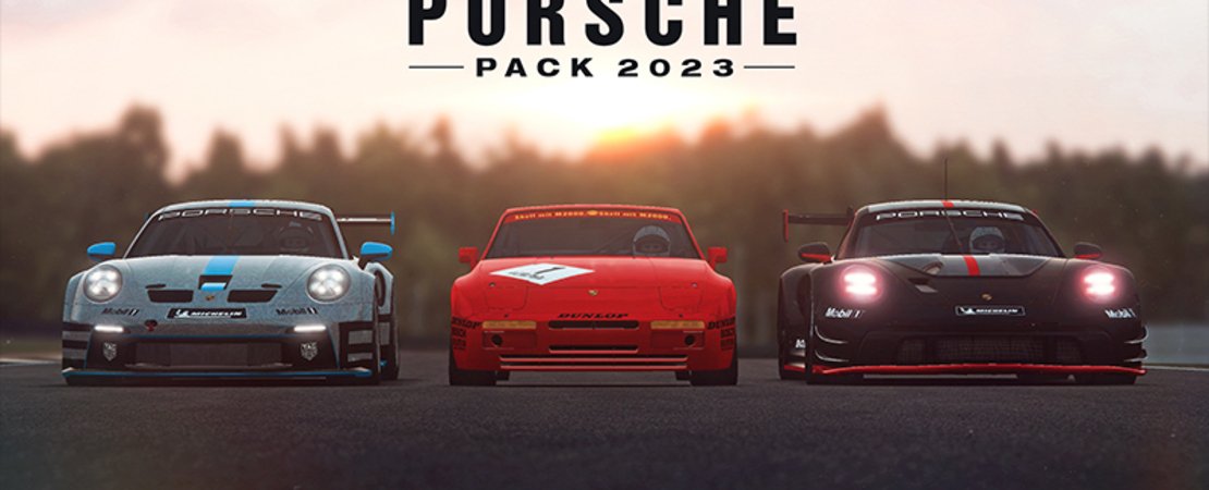 RaceRoom Racing Experience - Porsche Racing Package 2023