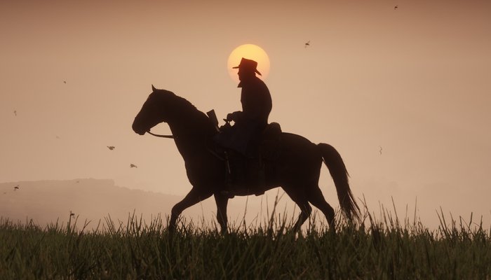 Red Dead Redemption 2 PC doesn't start: Possible solutions for startup errors