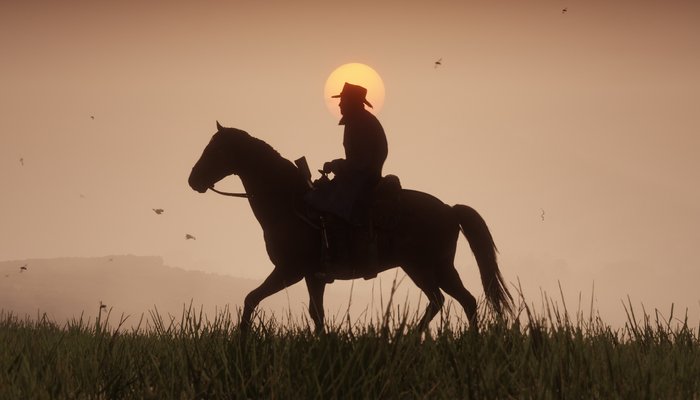 Red Dead Redemption 2 PC start niet: Mogelijke oplossingen voor fouten bij het starten van het spel