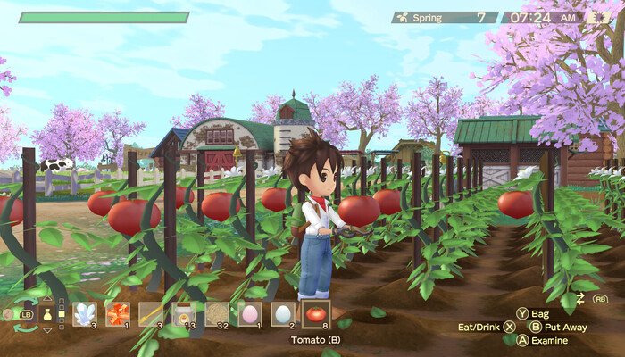 Story of Seasons: A Wonderful Life: Beoordeling en introductie van alle rij- en huisdieren