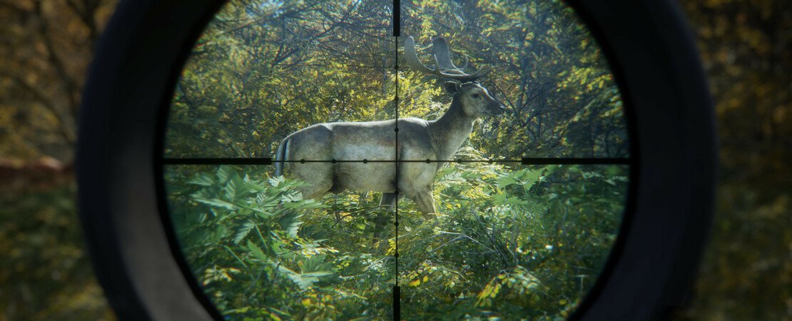 theHunter: Call of the Wild™ - It's time to go virtual hunting