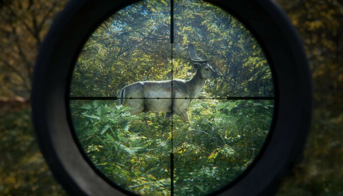 theHunter: Call of the Wild™: Es wird zur virtuellen Jagd geblasen